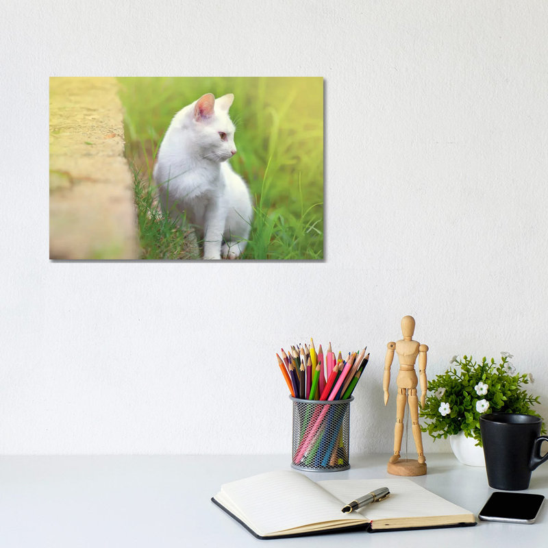 White Cat 61 by Ben Heine - Wrapped Canvas Print, 20.32 cm H x 30.48 cm W