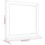 Lysia Flat Mirror with Shelves