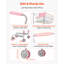 29.46 cm W Utility Cart with Wheels-1519303043