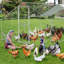 11.95m² Chicken Run-1511069959