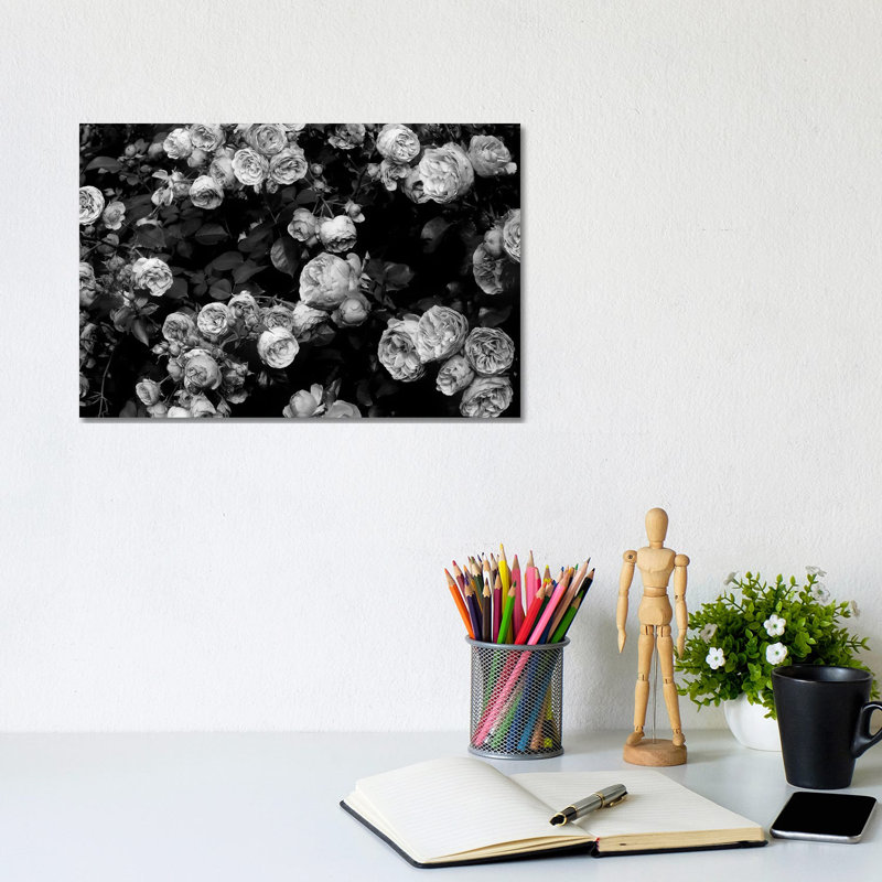 Roses by Sisi & Seb - Gallery-Wrapped Canvas Giclée on Canvas, Canvas, 20.32 cm H x 30.48 cm W