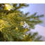 7.97' H Lighted Artificial Fir Christmas Tree