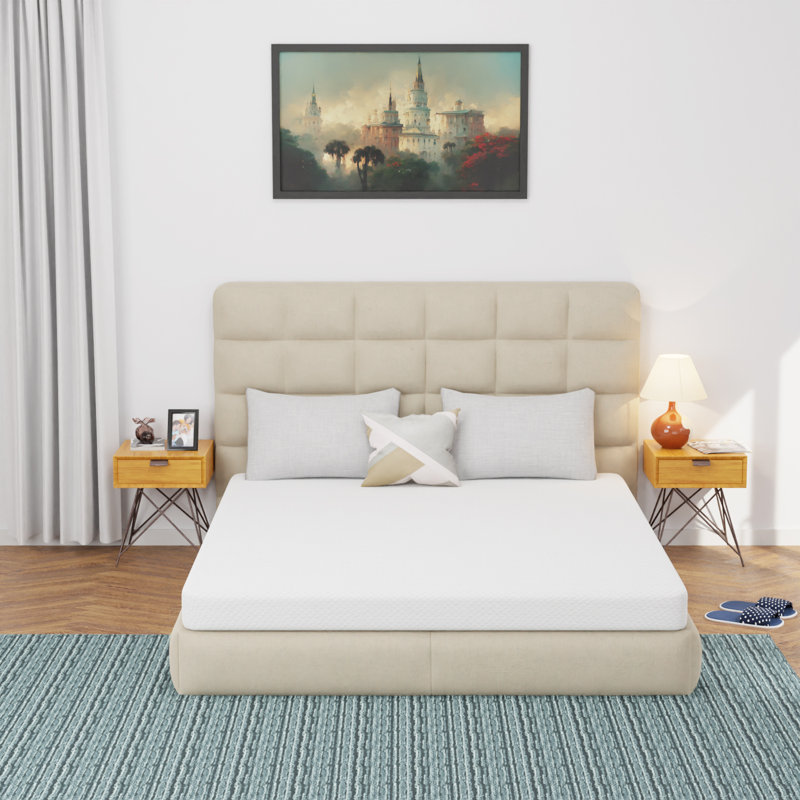 Matelas en mousse viscoélastique pelucheuse 5 po Alwyn Home Orderville, Grand