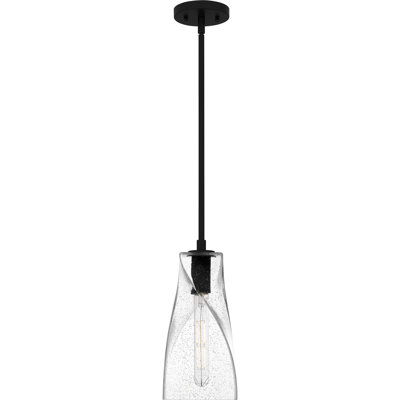 Mini-luminaire suspendu noir mat 1 lumière Wier