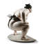 Sumo Fighter