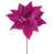 Rose vif