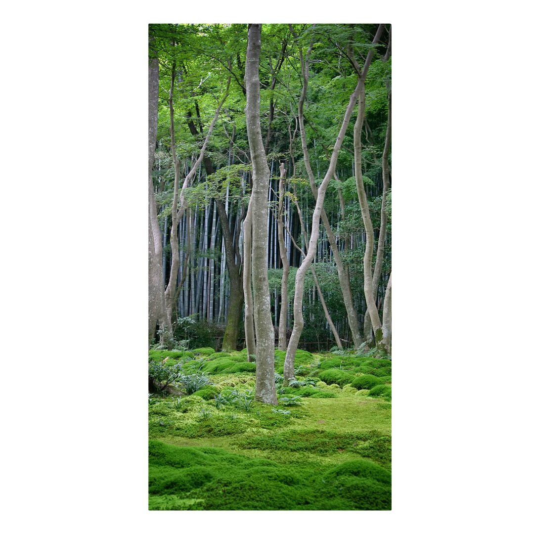 Leinwandbild Japanischer Wald