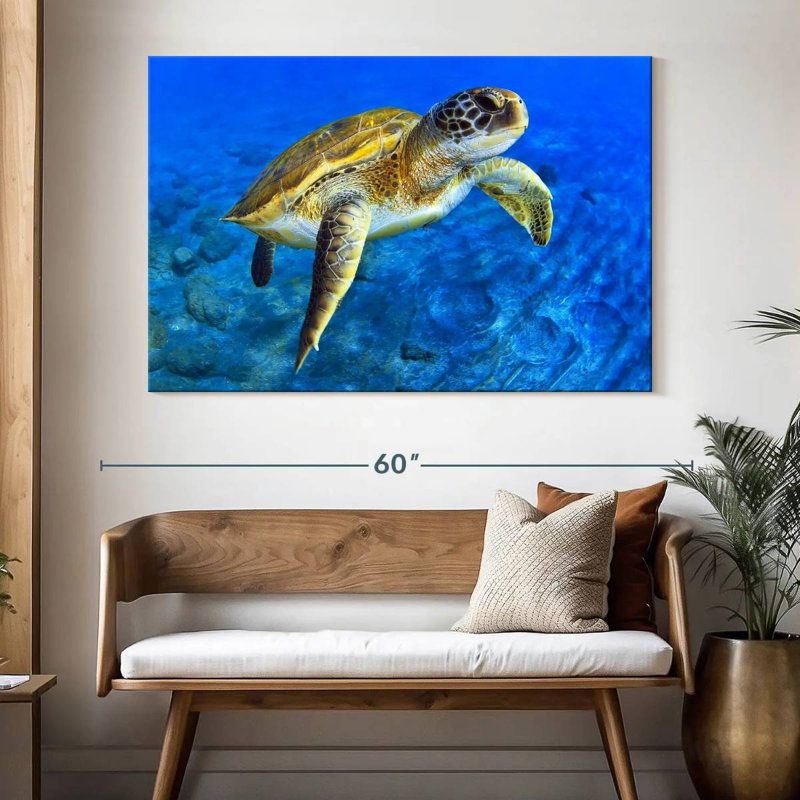 Brampt Sea Turtle Explorer, 34" H x 51" W