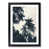 Black Framed