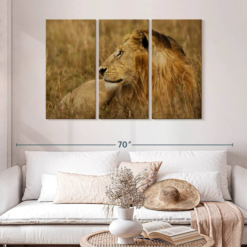 Brampt lion au repos dans le Serengeti, H 32 po x l 50 po