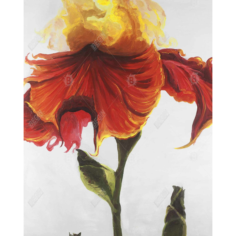 Blossoming Lily Flower - Orange Canvas Home Decor Artwork