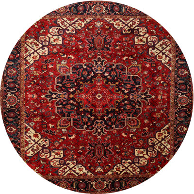 Cathreen Oriental Indoor Rug