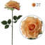 Tige de roses-980536202