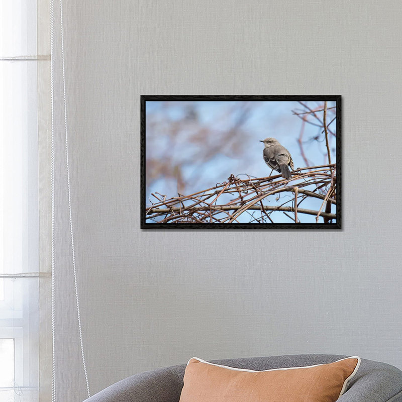 Grey & Blue by David Gardiner - No Frame Print on Canvas, Black Framed, 66.04 cm H x 45.72 cm W