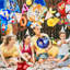 Sonic Party Supplies, 11 Pcs of Sonic Balloons