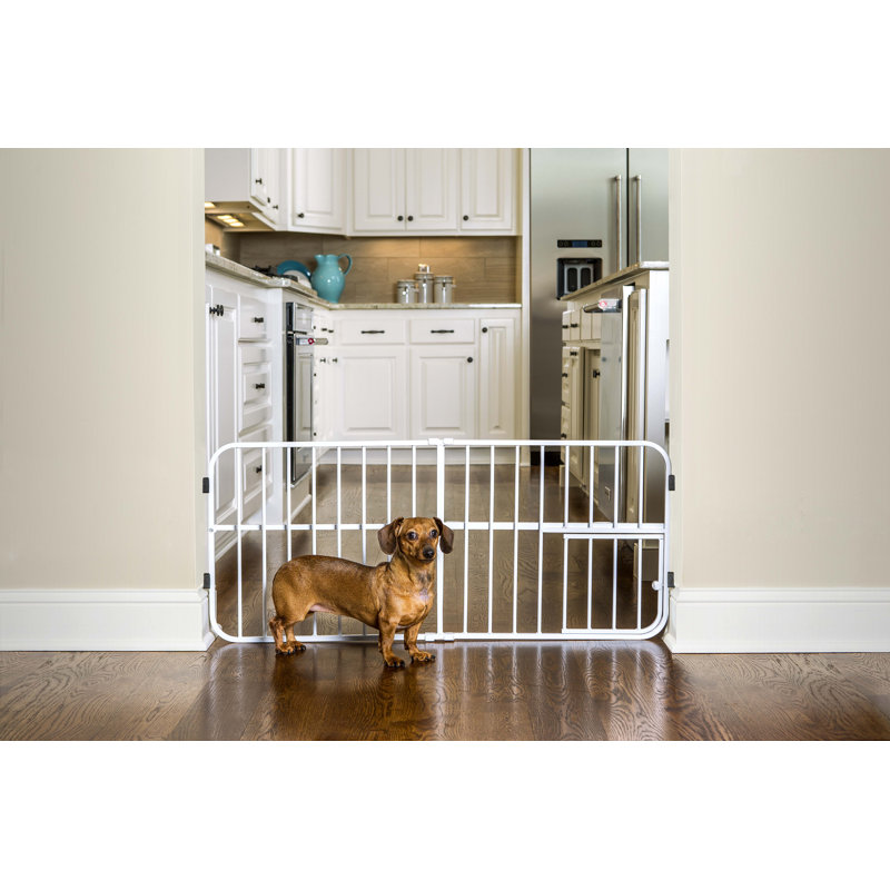 Barrière extensible pour animaux de compagnie à fixation par pression, Très grand (H 32 po x l 26-38 po x P 1 po), blanc
