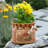 Cazeau Pot Planter