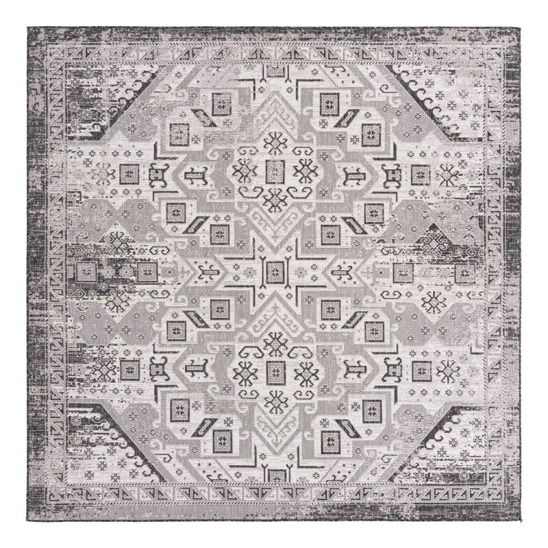 Alucard Indoor / Outdoor Rug, Square 10'