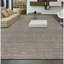 Area Rug in Gray