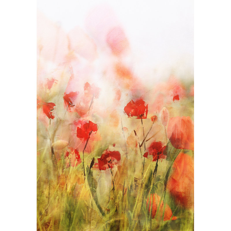 Wrapped Canvas Print, 50.8 cm H x 76.2 cm W