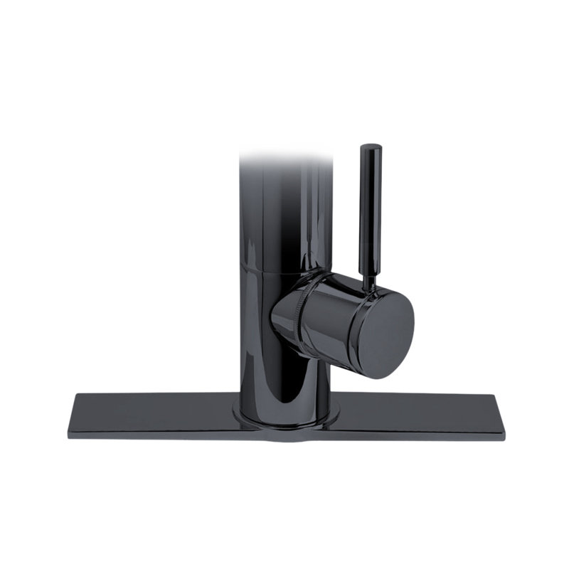 Contemporary 10" Escutcheon Plate, Matte Black