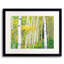 Autumn Aspen Grove Print by Bruce Heinemann-71199781-92903892-92903898