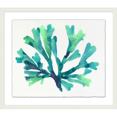 Transparaent Sea Life 3 Print