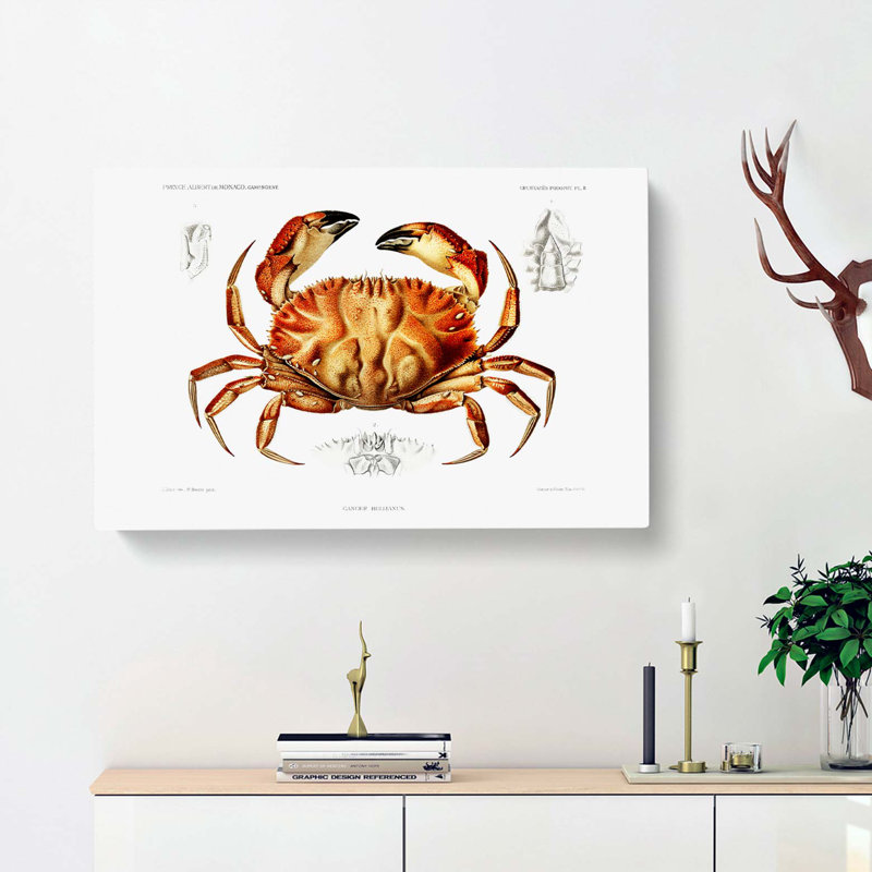 Crab by Albert I - Wrapped Canvas, 40cm H x 60cm W x 3cm D