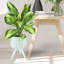 Plante à feuillage artificiel dans un panier 22,00 "Carbaugh