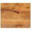 Jann Solid Wood Table Top-1604542417