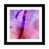 Fine Art Paper is unavailable