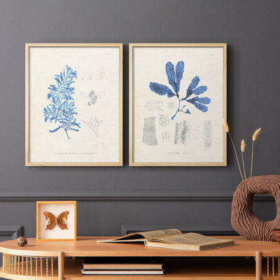 Blue Marine Algae VI-Premium Framed Print -Ready to Hang - No Nails Required - No Nails Required
