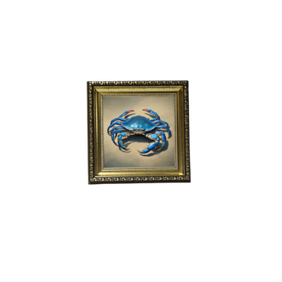 Crabe bleu ayotomi 8