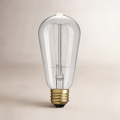 Lyle 60W ST19 Incandescent Dimmable Bulb