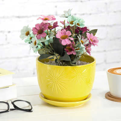 Edolie 7 Inch Indoor Ceramic Pot Planter