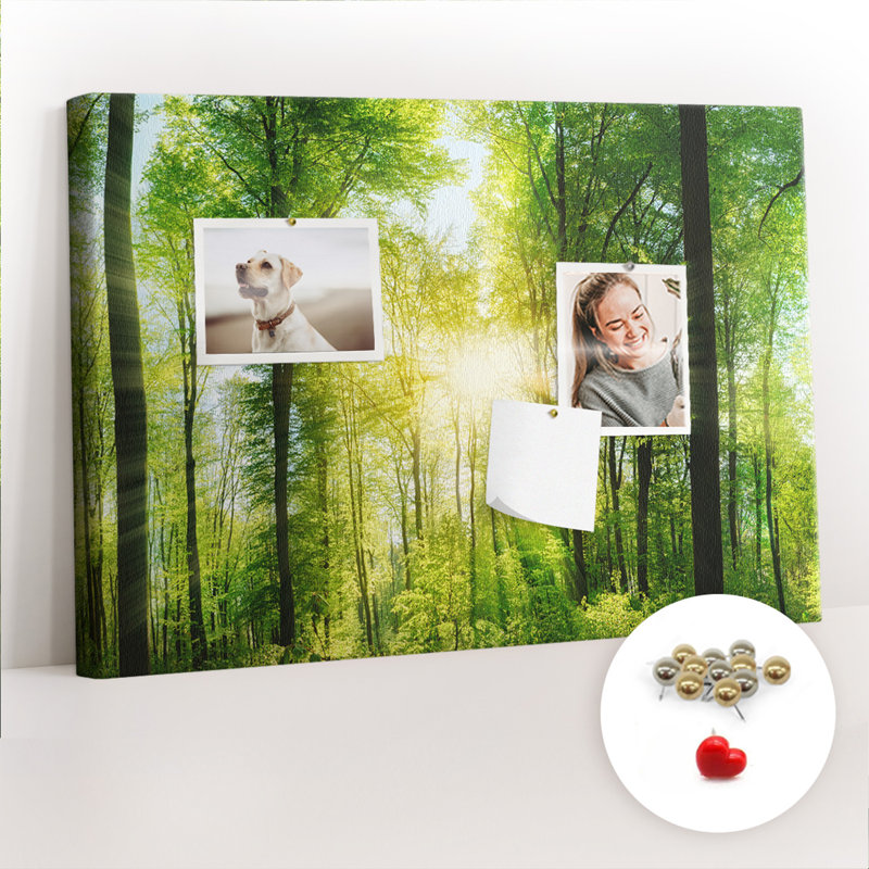 Makensie Cork Corkboard / Bulletin Board
