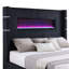 Luxueux lit tapissier très grand noir avec visualisation de flamme intégrée et télécommande-1411767880-1411767882