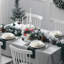 Bone China Dinnerware Set 16 Piece - Service for 4