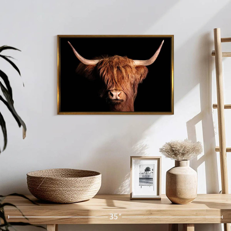 Vache écossaise Highland, Cadre flottant doré, 19 po x 13 po