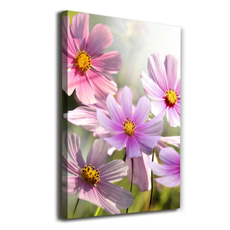 Field Flowers - Wrapped Canvas Print