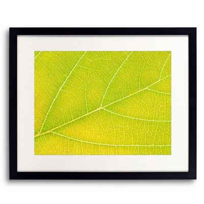Autumn Leaf by Philippe Monthoux
