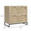 Amerigo 29.5'' Wide 2 -Drawer File Cabinet,wood-1717706037
