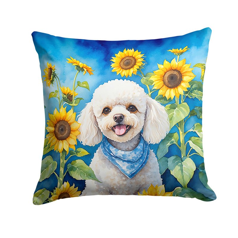 Coussin décoratif autre / sans motif, H 18 po x l 18 po