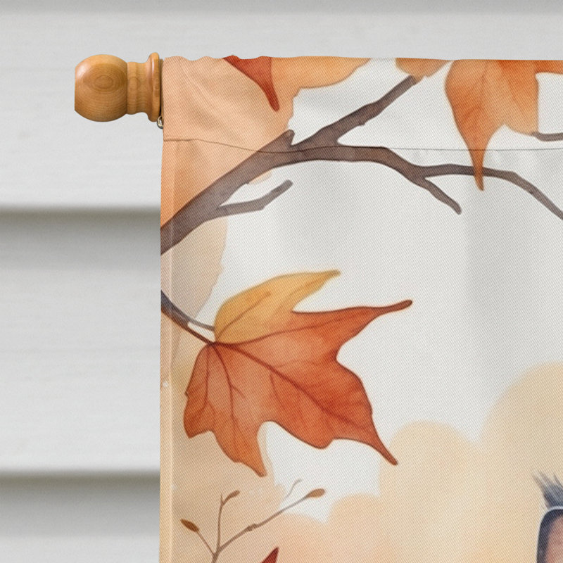 Chat en feuilles d'automne, Australian Mist