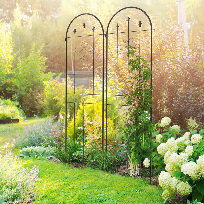 de 2 treillis de jardin en métal pour plantes grimpantes