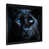 Black Picture Framed