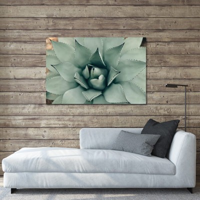 " Mint Succulent I " Color Photography Print