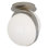 Brut 1 - Light Flush Mount
