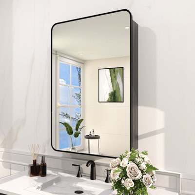 Haddington 23 in. W x 30 in. H Rectangular Framed Recessed/Surface Mount Medicine Cabinet With Mirror In in Matte Black