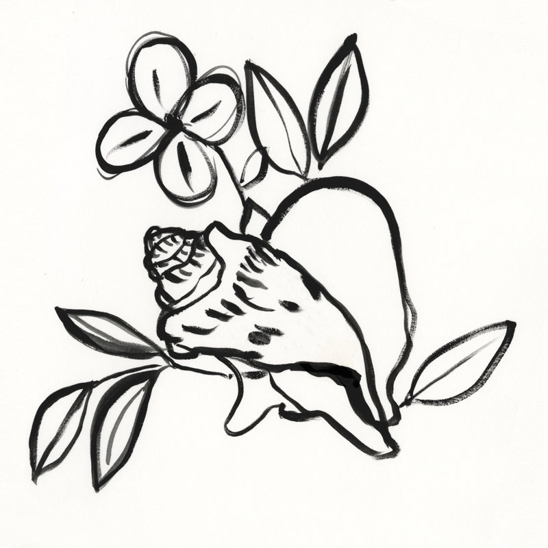 Shell Scrawl II, H 12 po x l 12 po